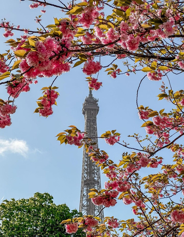 Screenshot_20240429_212113_Threads