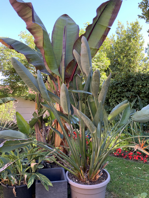 4D5397B0-E73D-4993-85FF-6590E072D809