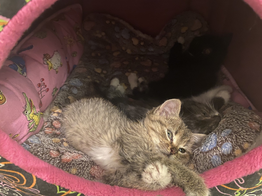 21724388-4E77-4376-B5CC-81153F4A03C9