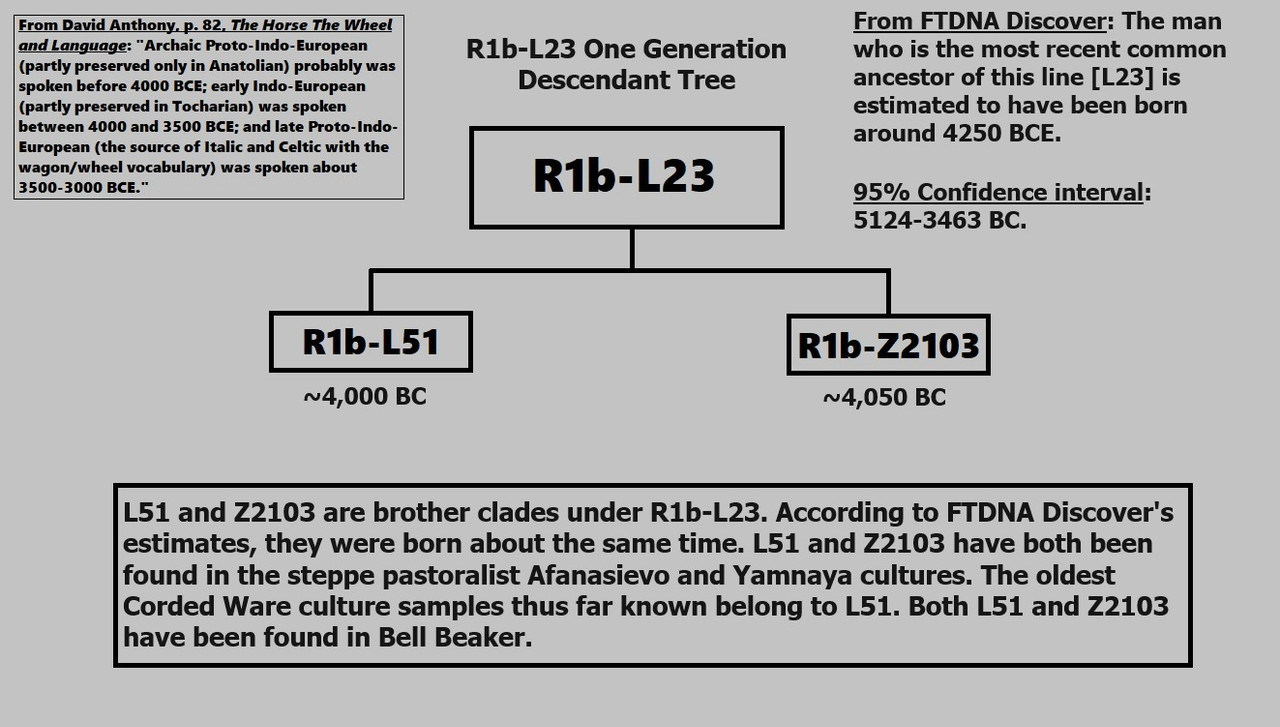 R1b-L23 Descendant Tree_Yamnaya
