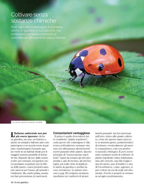 Il Mio Giar GIu-Lug 2022 (11)