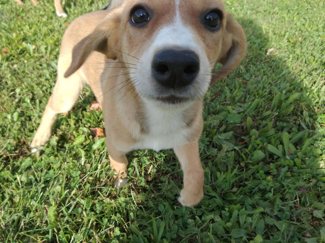 изображение_viber_2019-09-15_15-55-44