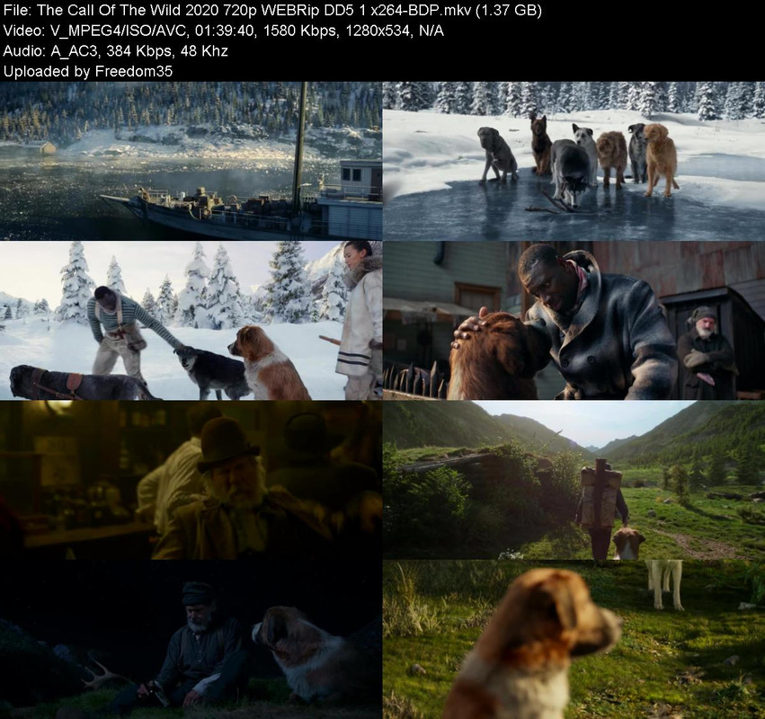 The-Call-Of-The-Wild-2020-720p-WEBRip-DD