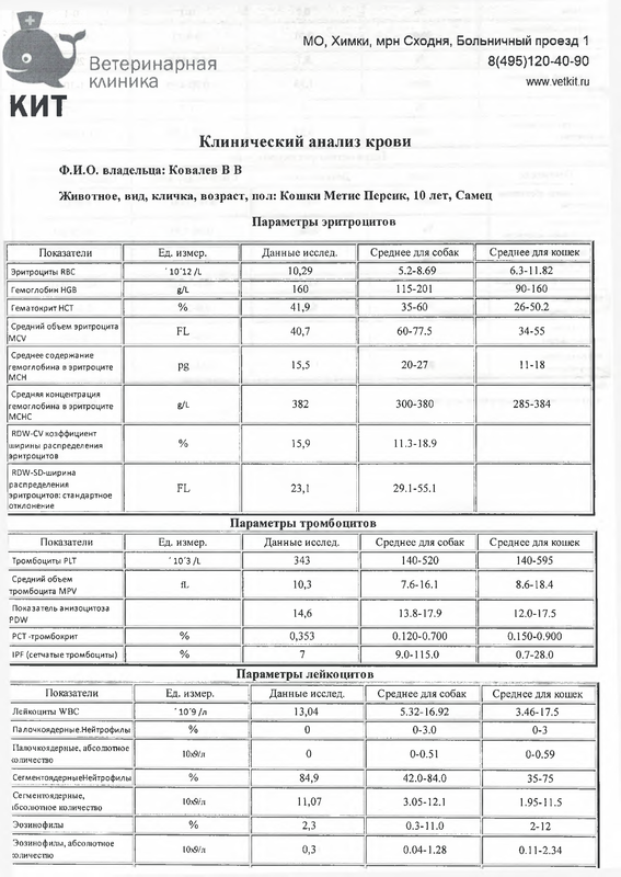 КИТ анализы