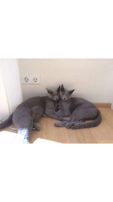 A04B2DE0-56D2-4FDE-9CF7-DEBBEFA9F5A7