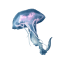 051.