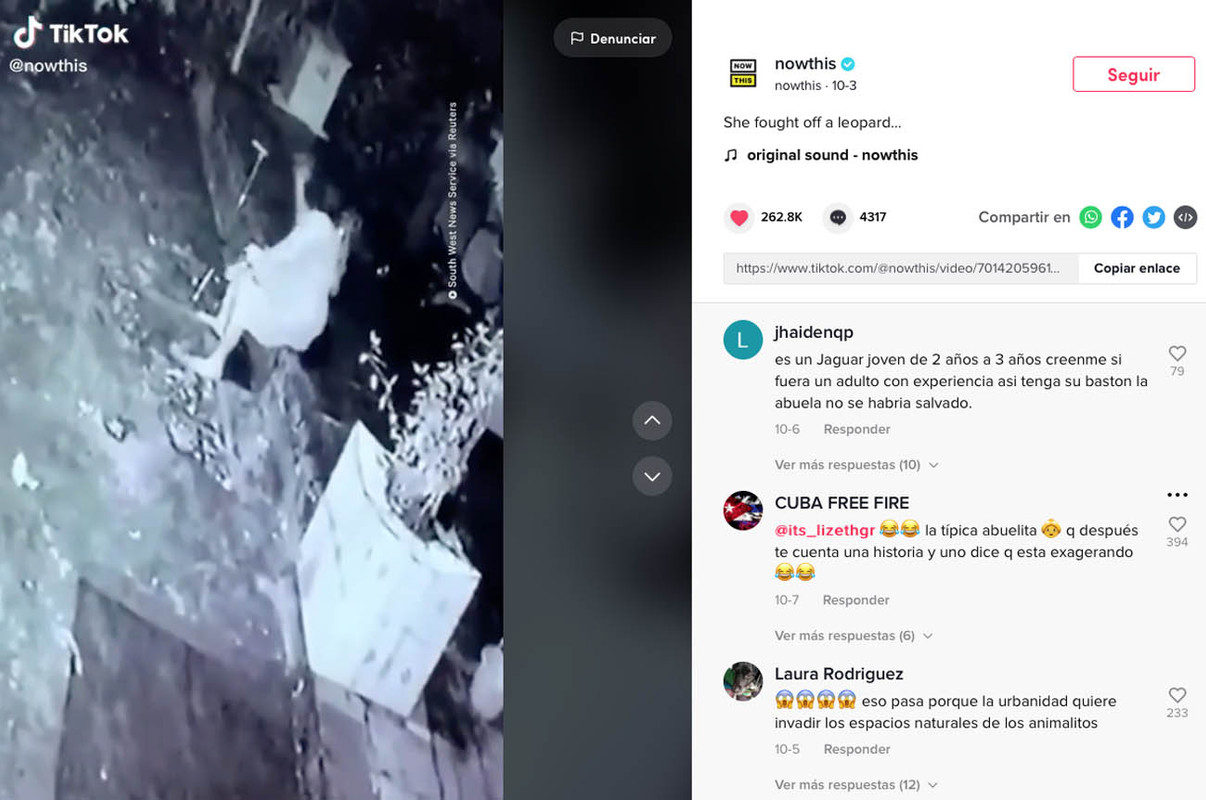 Abuelita es atacada por un leopardo; termina siendo viral en TikTok