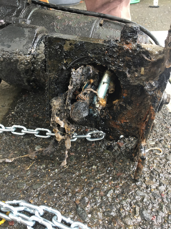 7B79EE9E-A21D-417D-B23C-53BE67850048