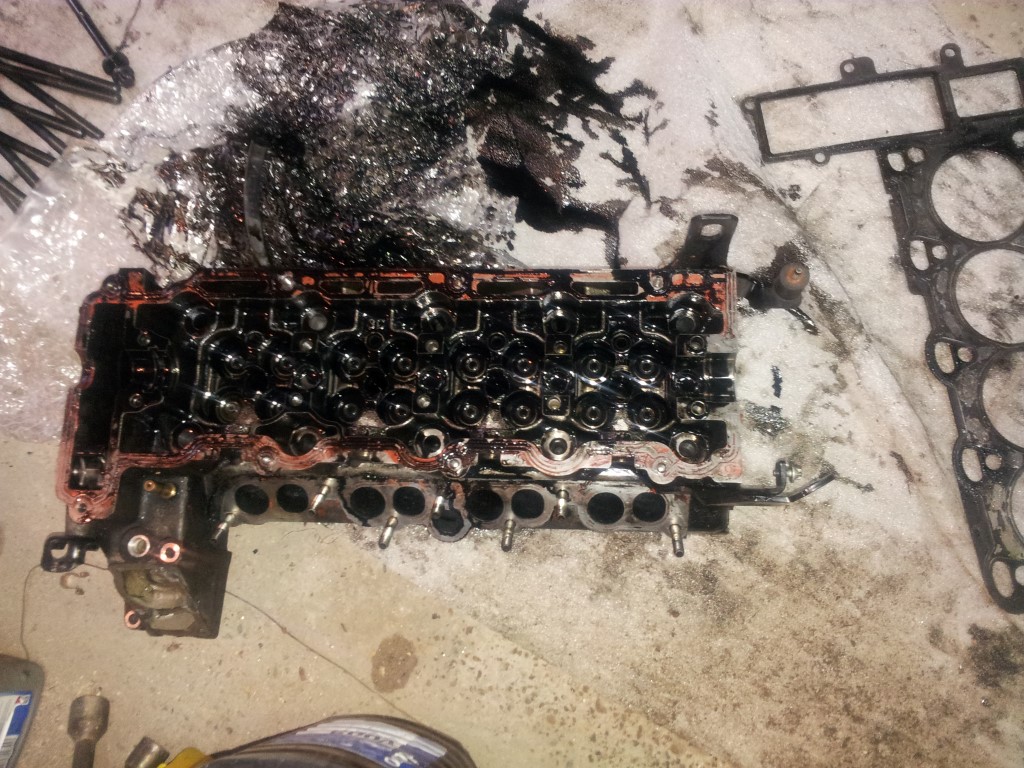 20151224_133755 (Medium)