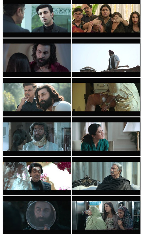 Animal (2023) Hindi Netflix WEB-DL screenshot