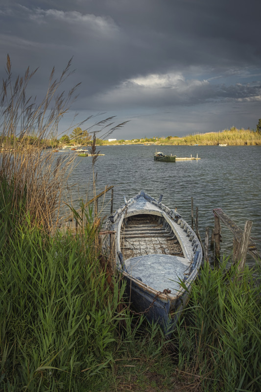 _DSF5207-Editar-Editar