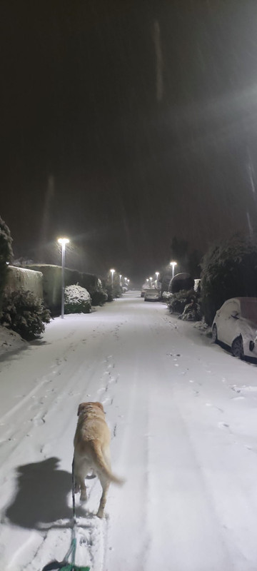 WhatsApp Image 2021-01-08 at 20.45.45(1)