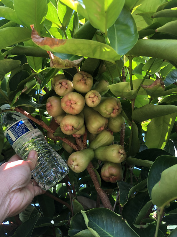 D94BE1C0-0DB5-47CB-9235-8F2CE5510393