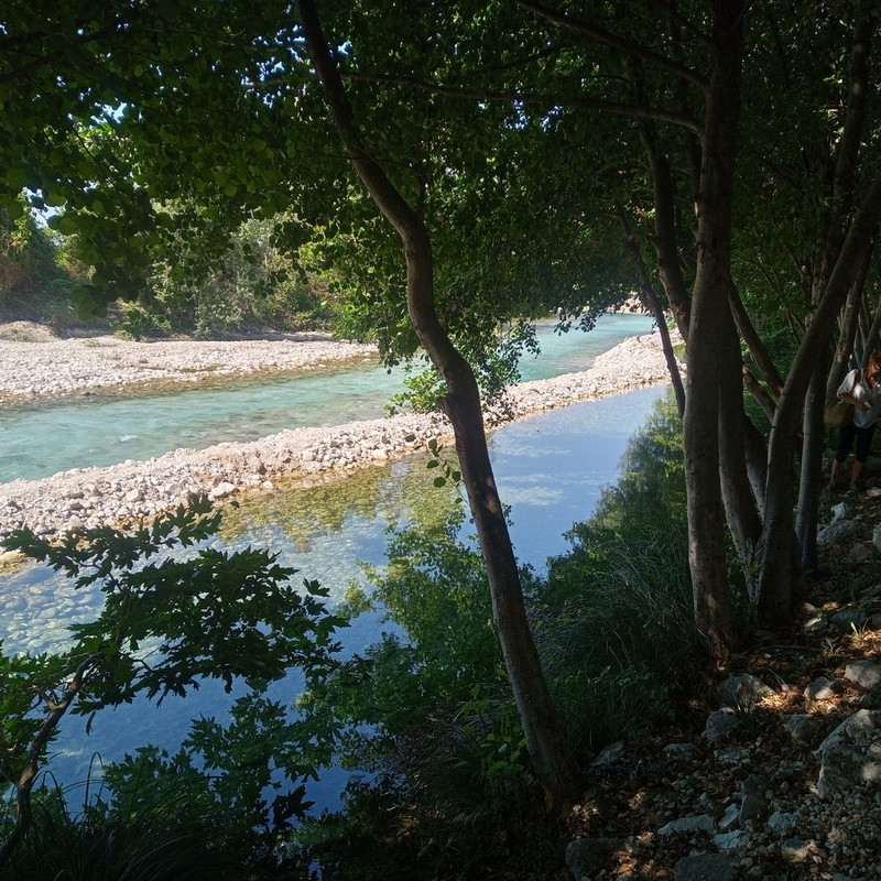 Slika