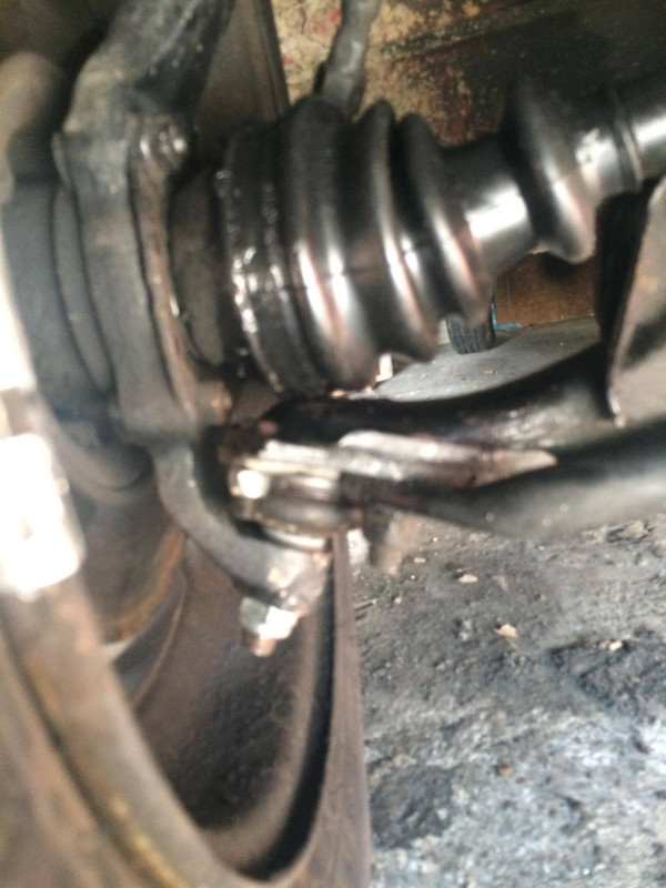 12773031_10208991118680238_287770096_o