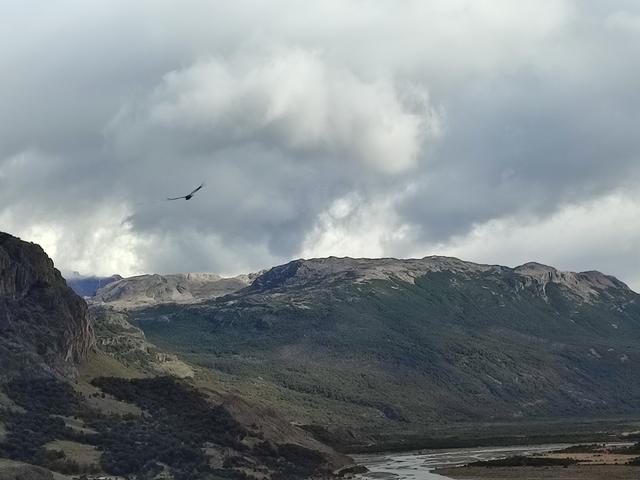 CHALTEN.RUTA AL MIRADOR DE LOS CONDORES Y DE LAS AGUILAS./ NOS VAMOS AL CALAFATE - ARGENTINA INFINITA II/ TORRES DEL PAINE (8)