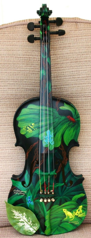 greenfrogviolin.jpg