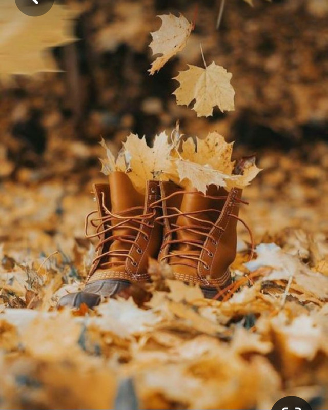 Screenshot_20230517_233035_Pinterest