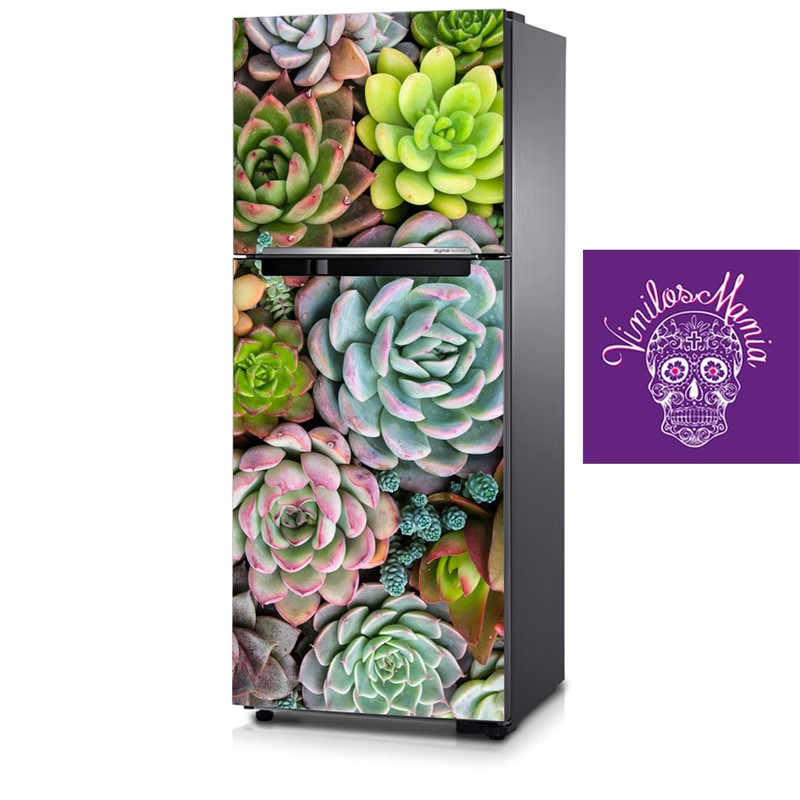 Refrigerador suculenta