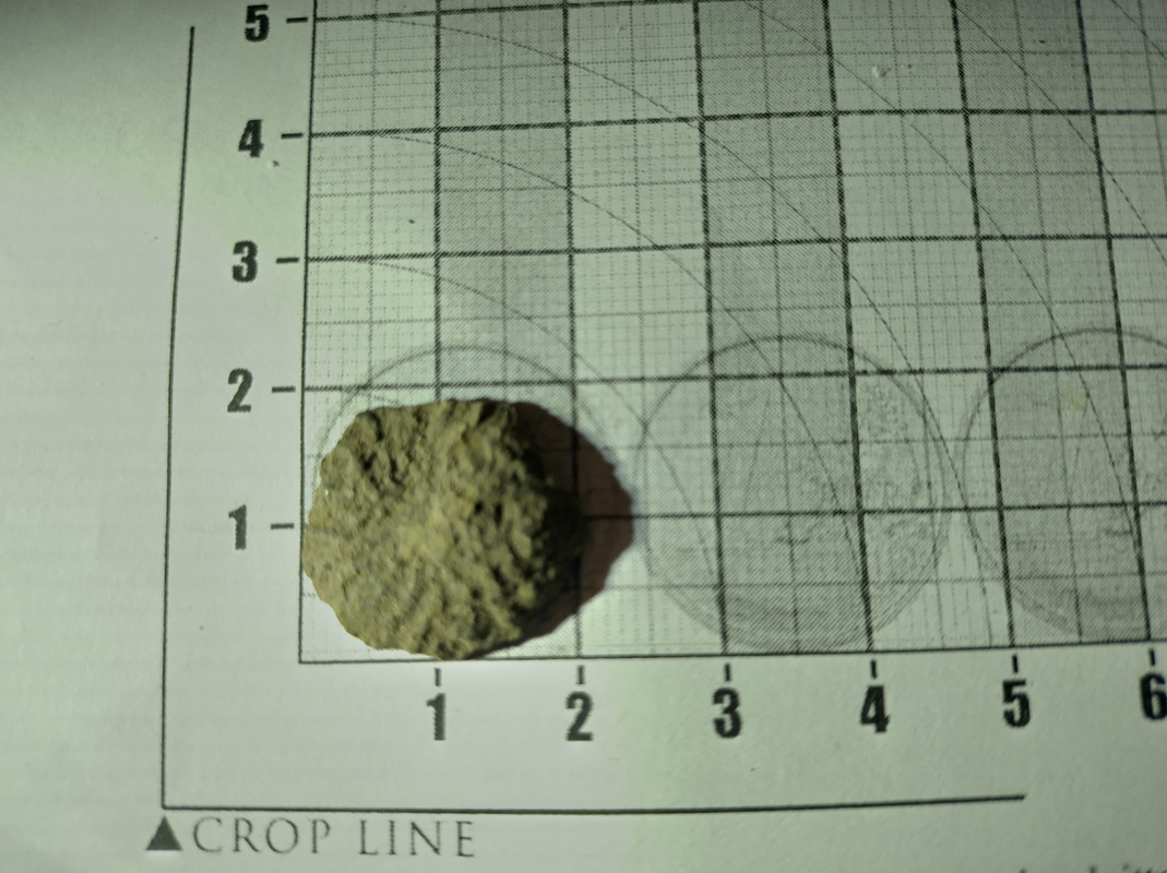 IMG_20240505_192311_MP