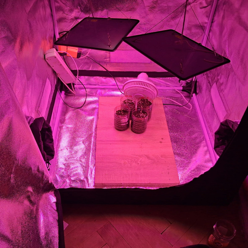 Whats App Image 2026 03 20 at 16 31 29 (4)