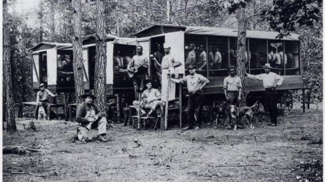 Historical-50