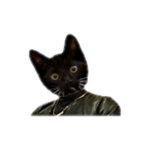 IMG-9939.png