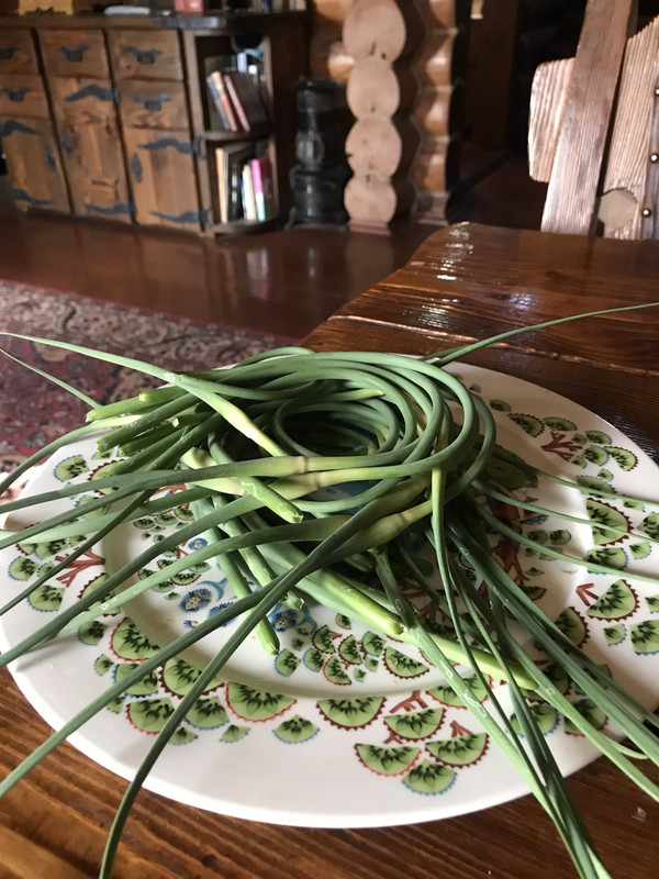 B2BC0BF0-1733-4EAB-9836-5FD954BFFA49