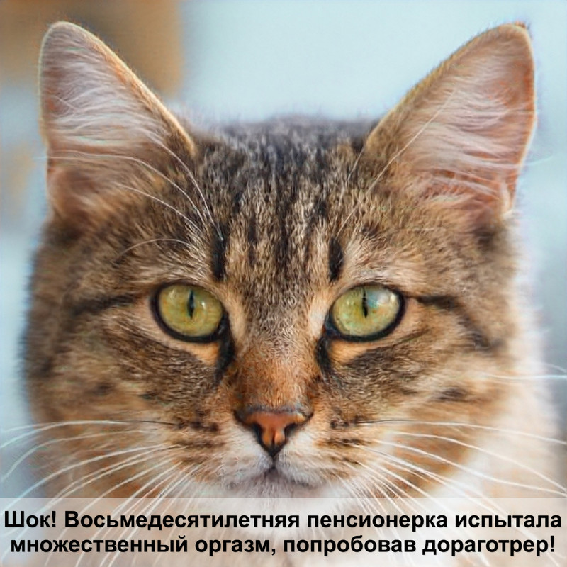 порода кошки леопардовая окраска