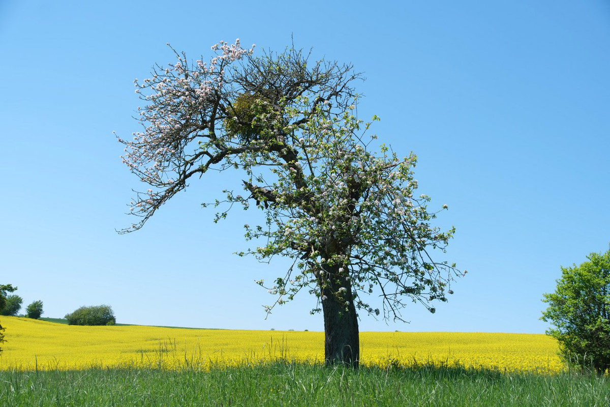 XT5A8716-Verbessert-RR-Bearbeitet