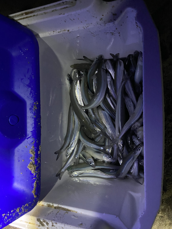 BA05400E-9F76-4431-9506-1EAEE9AE6122