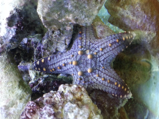 IMG_20150901_101600 (1)