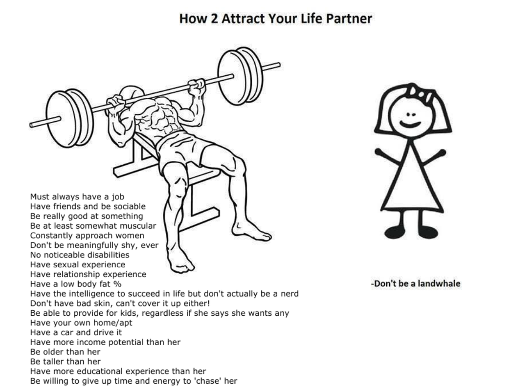 the-imbalanced-truth.png