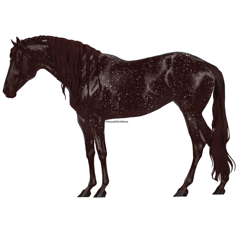Untitled88-20250424195550.png