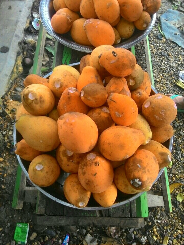 Screenshot_2015-01-30-03-54-14_1_1