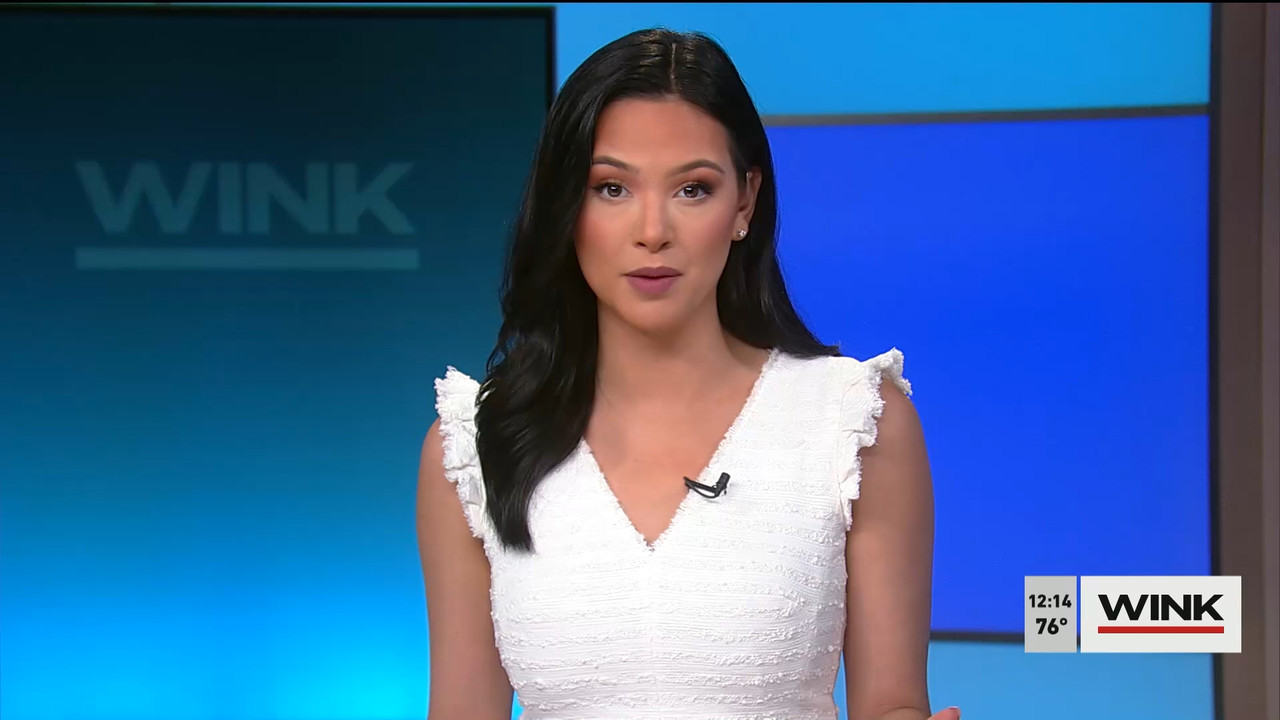 The WINK Noon News 2022_04_08_17_00_00.ts_snapshot_20.40.272