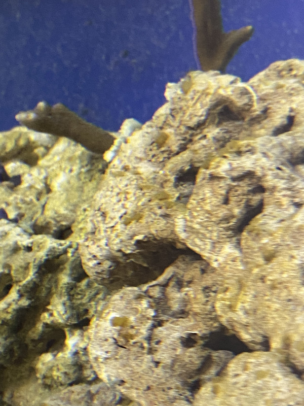 F91A0973-D11D-4A57-A0BA-1E4DE5A24D35