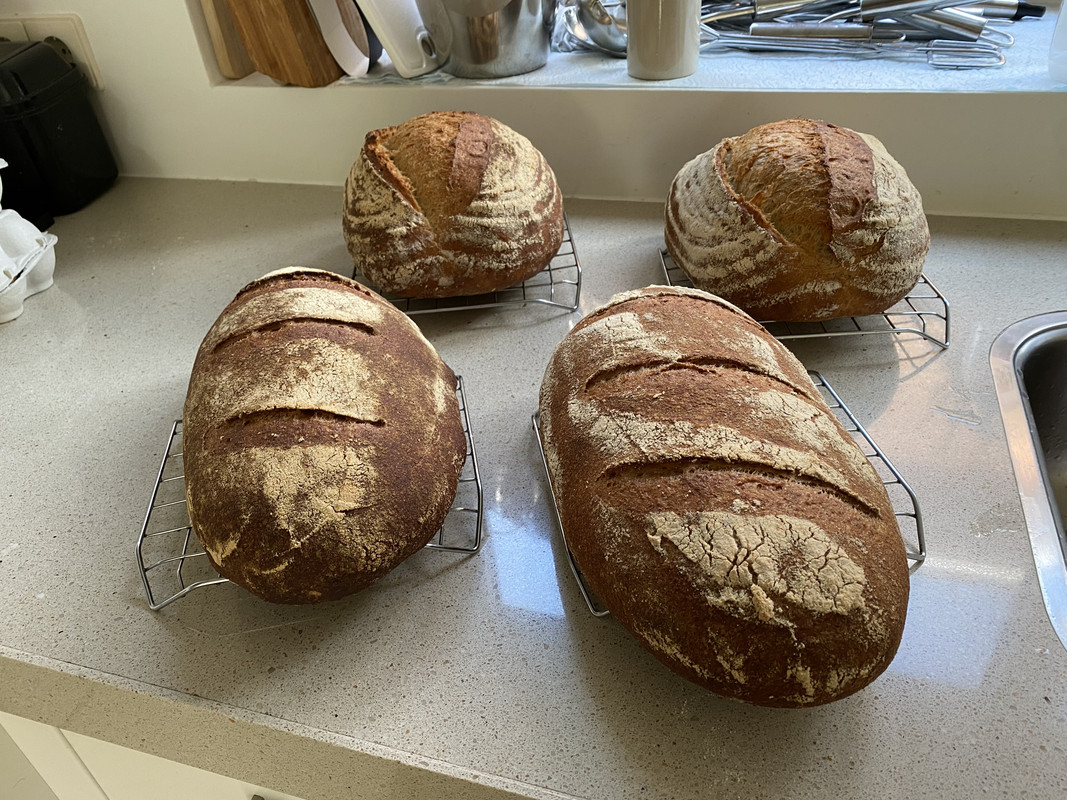 B659F4C3-72B1-4AB4-B463-A0111F77E44D