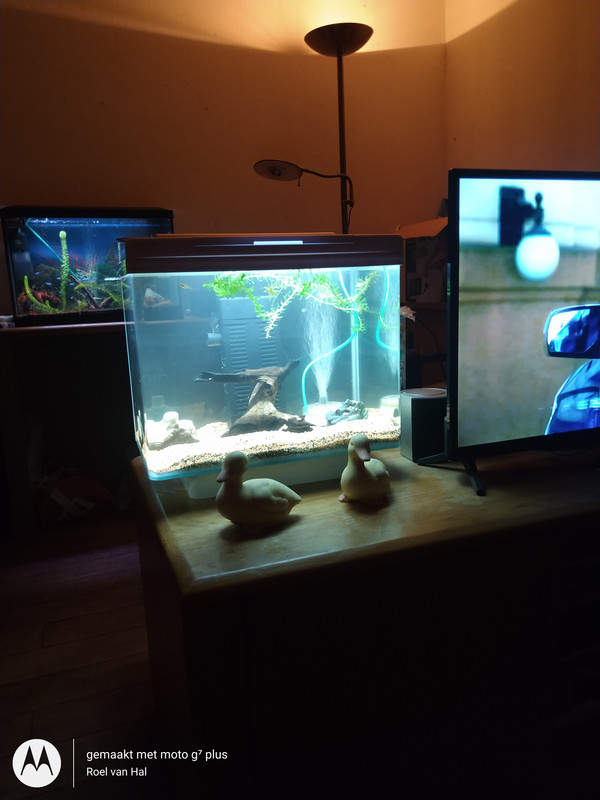 IMG_20201108_171946237