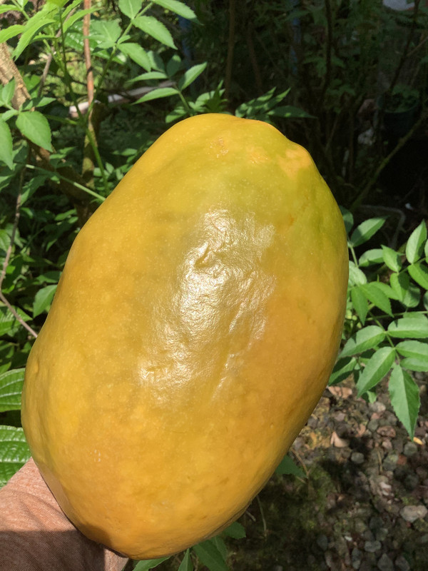 00F57C66-C852-4498-A4E1-A27133D7A5AA