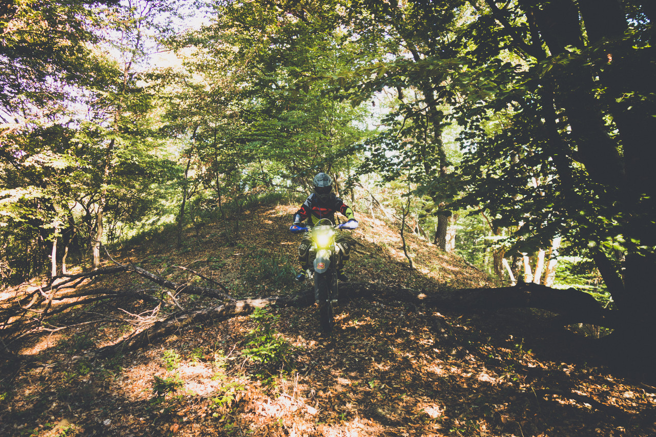Enduro riding through trees