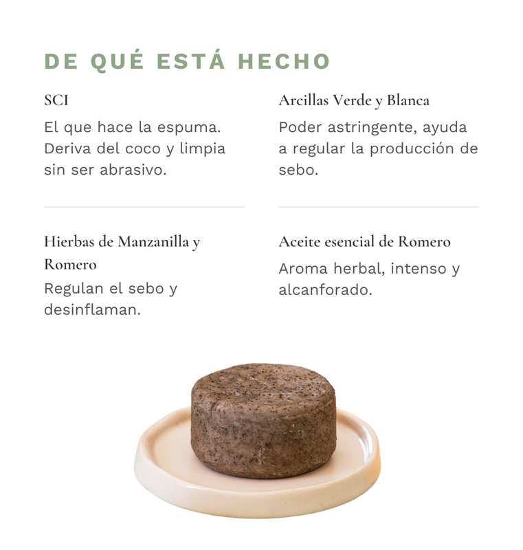 De qu&eacute; est&aacute; hecho &mdash; Shampoo S&oacute;lido Graso