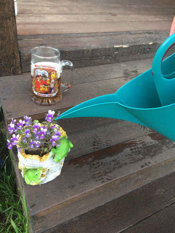 4D290D96-FF9C-4109-9BD9-FCDA6D9051A5