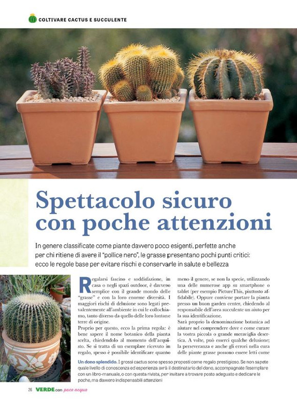 Pol Ver Spec Giu-Lug 2024 (1)