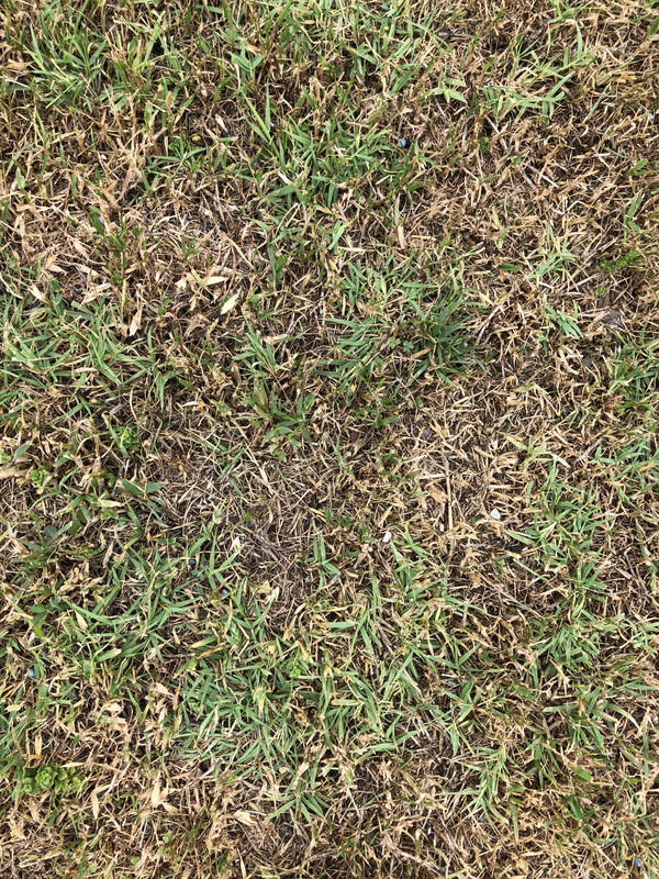 DA85DFD2-2868-4906-81EB-0BDFDDF04619