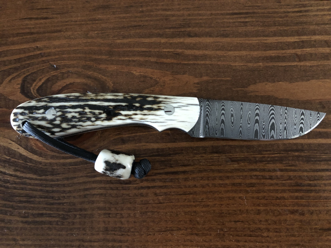 D34697EE-C123-409F-A731-50C3B6CEC7BA