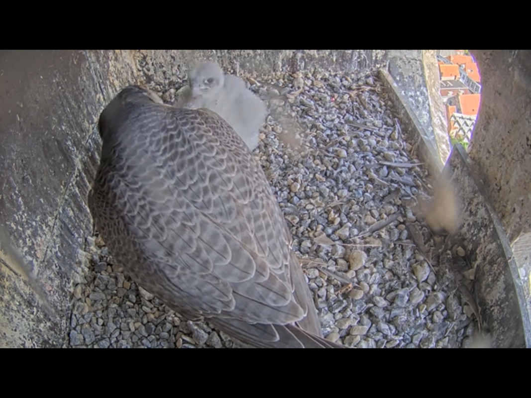 C2567241-2555-4E6B-AE15-C43CD07B19BD