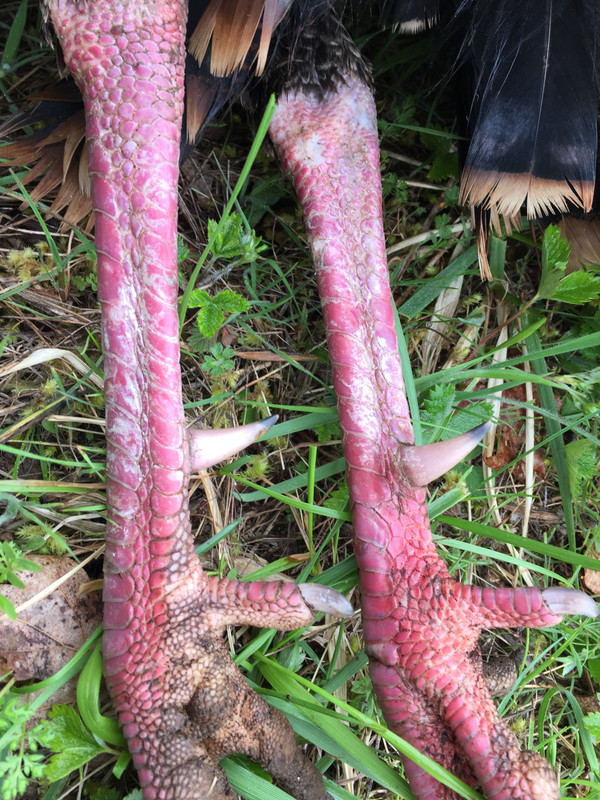 8F40A190-D098-4C93-958B-CD638FF3313B