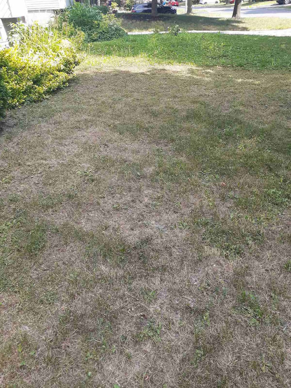 IMG-e6886b87f5643840905de6677fddbeb1-V