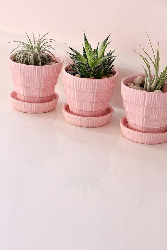 pink-pots.jpg
